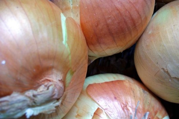 Купить наркотики онлайн