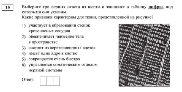 Вход в кракен